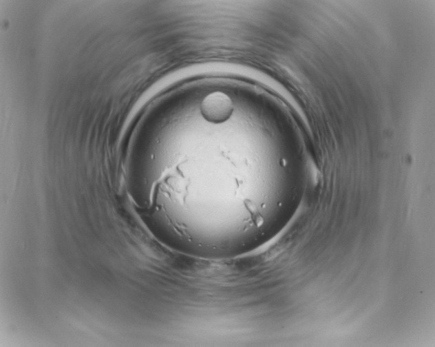 X0000088840125200706071429