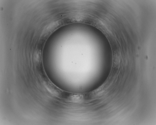 X0000088840126200706071429