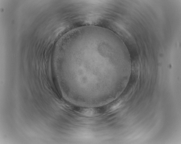 X0000088840127200706071429