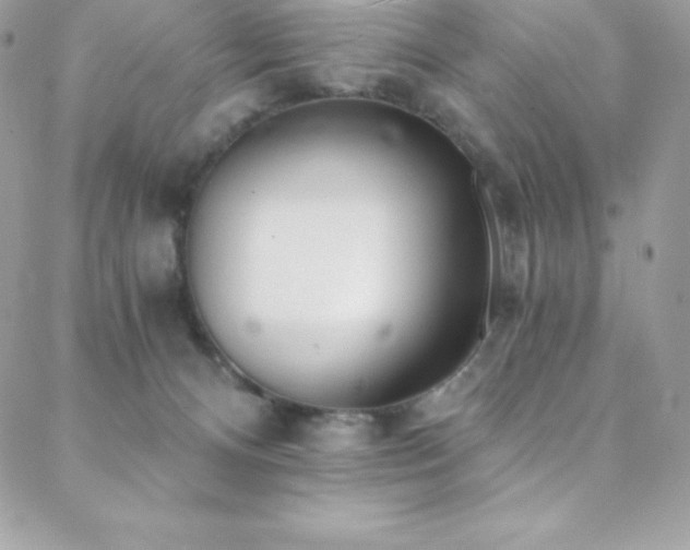 X0000088840128200706071429