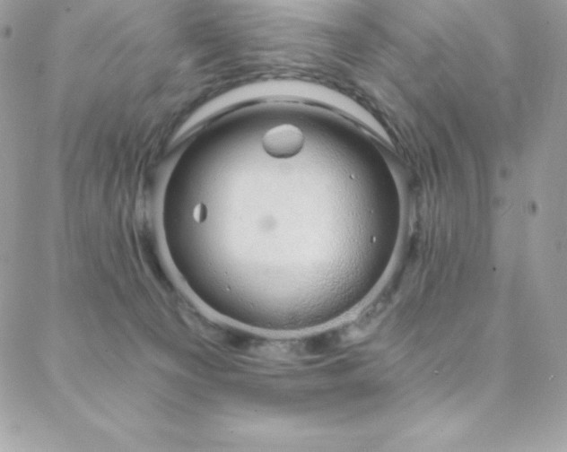 X0000088840129200706071429