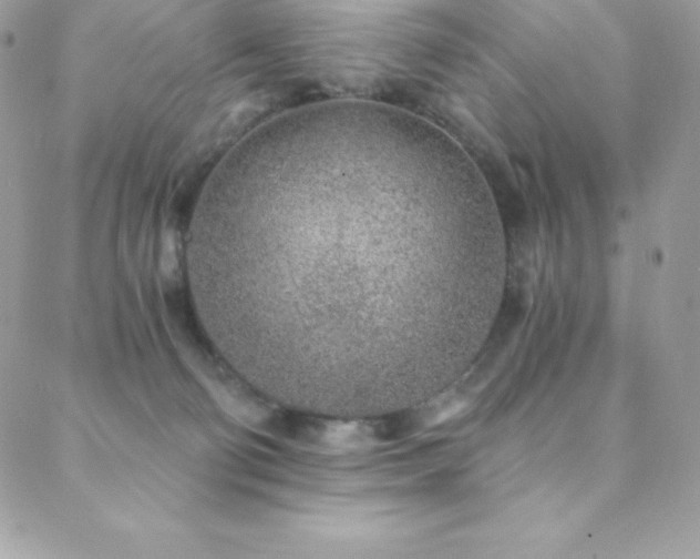 X0000088840130200706071429