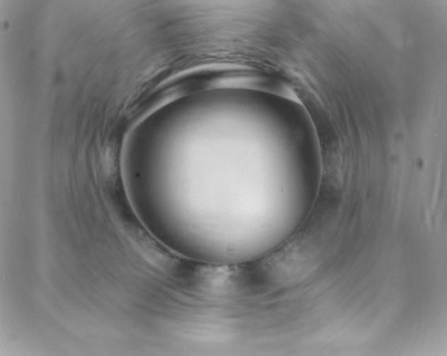 X0000088840131200706071429