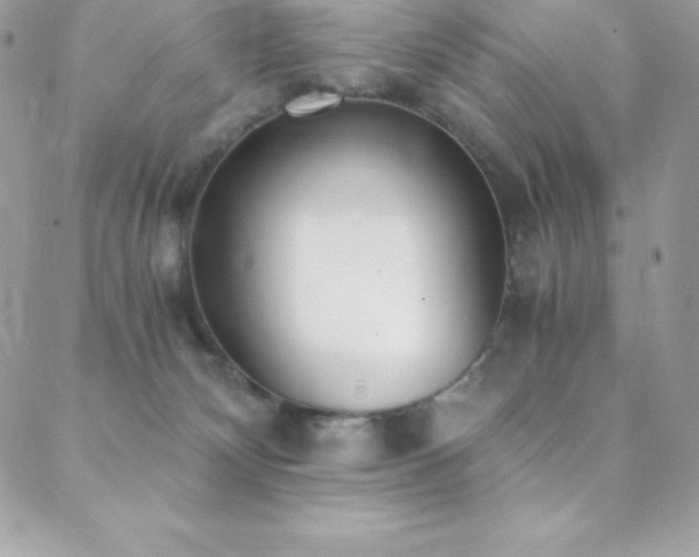 X0000088840132200706071429