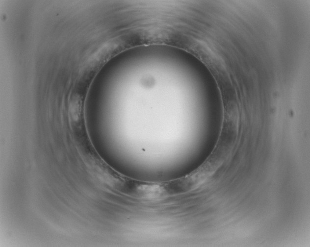 X0000088840133200706071429