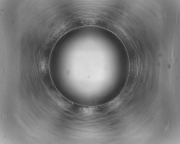 X0000088840134200706071429