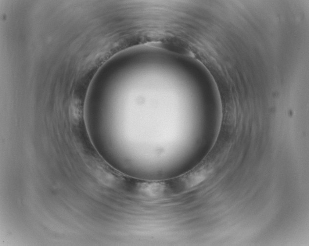 X0000088840135200706071429