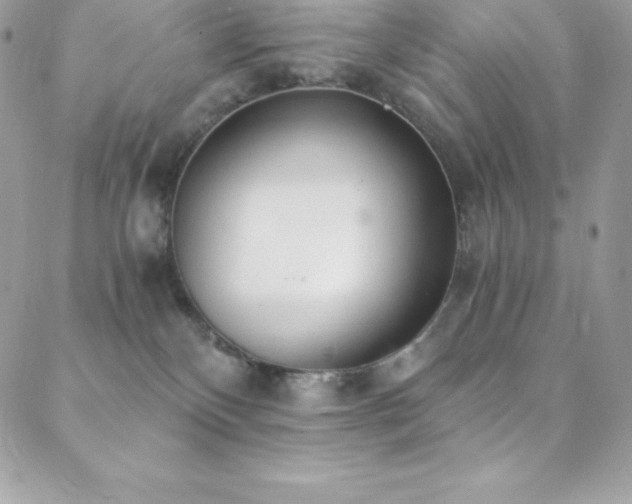 X0000088840136200706071429