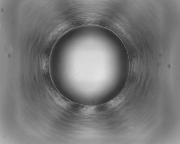 X0000088840138200706071429