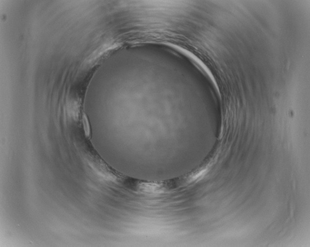 X0000088840139200706071429