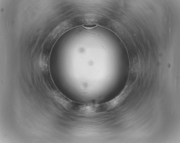 X0000088840140200706071429