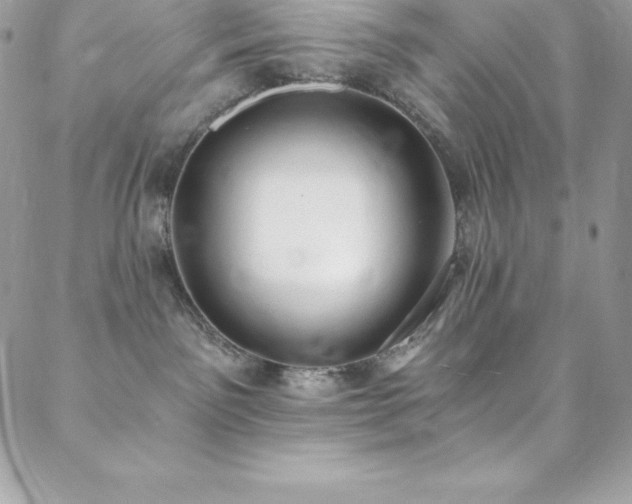 X0000088840141200706071429