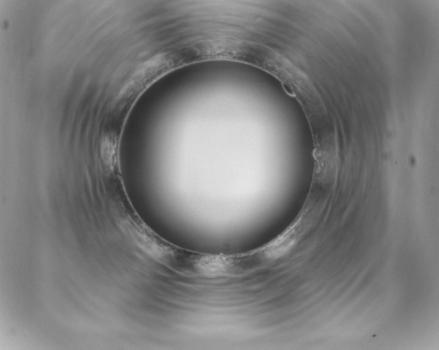 X0000088840142200706071429