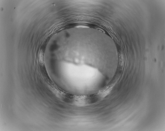 X0000088840143200706071429