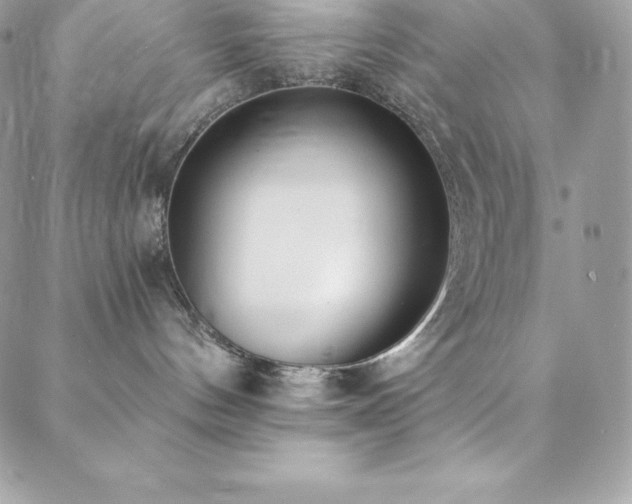 X0000088840144200706071429