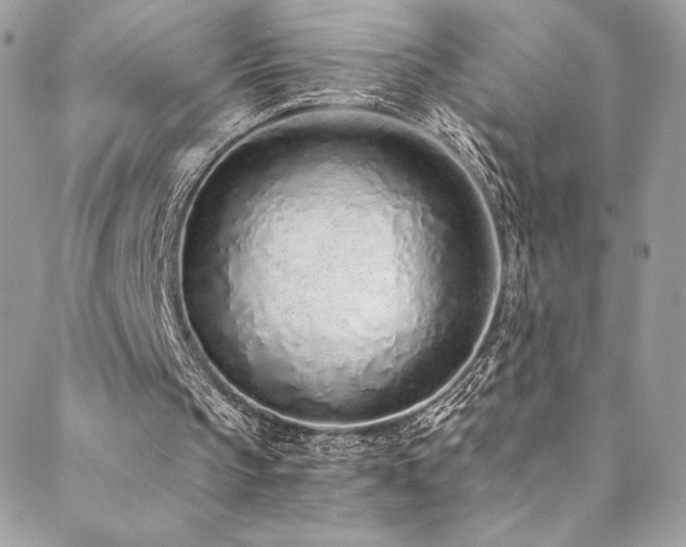 X0000088840145200706071428