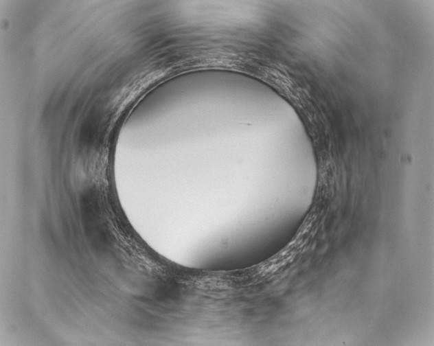 X0000088840146200706071428