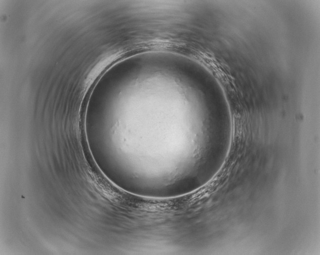 X0000088840147200706071428