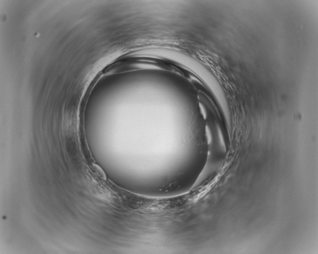 X0000088840148200706071428