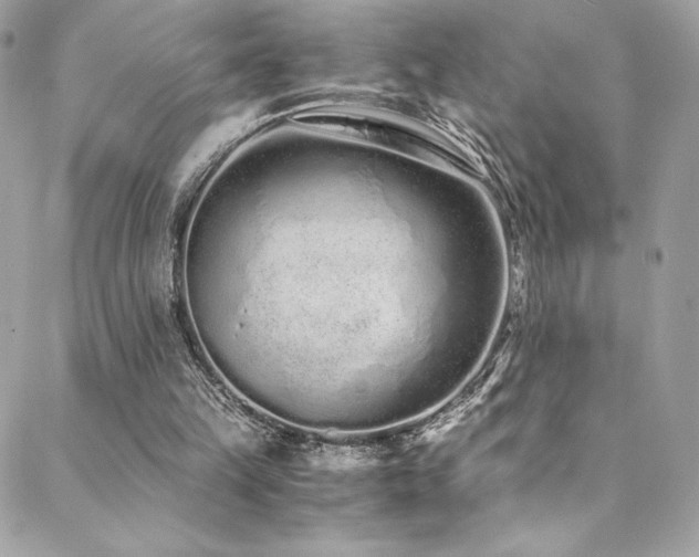 X0000088840149200706071428