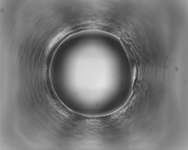 X0000088840150200706071428