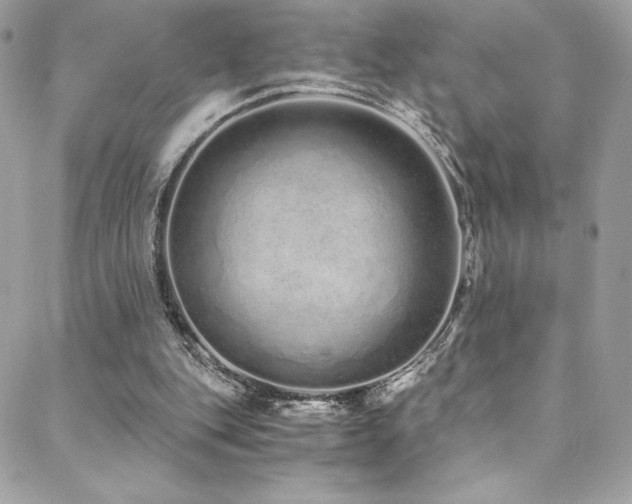 X0000088840151200706071428