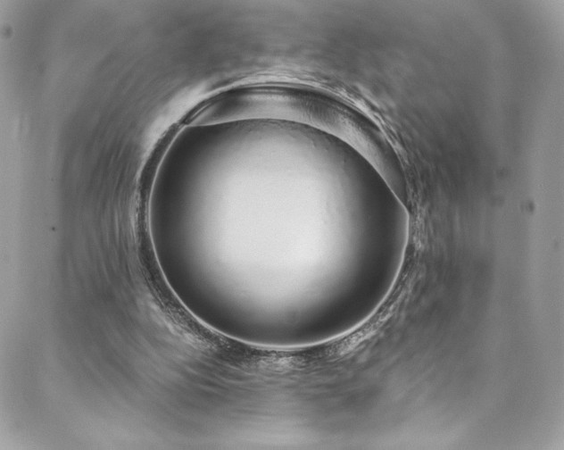 X0000088840152200706071428