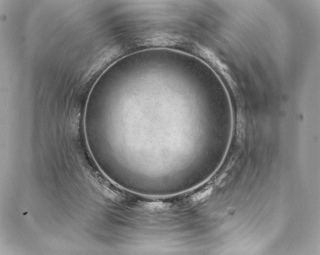 X0000088840153200706071429