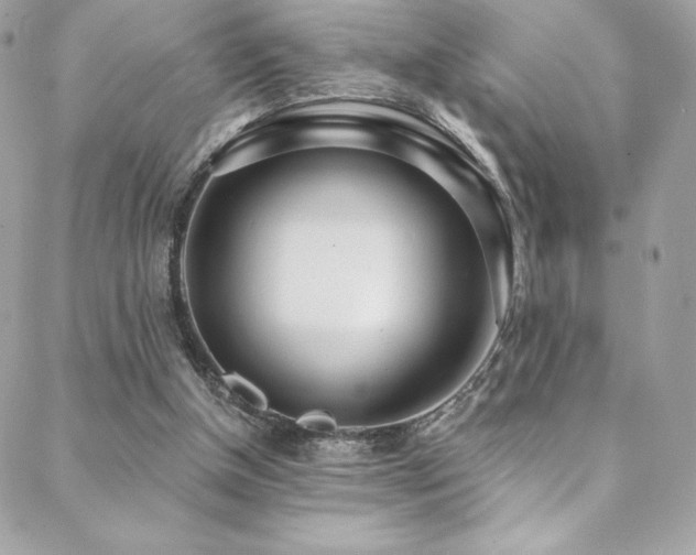 X0000088840154200706071429