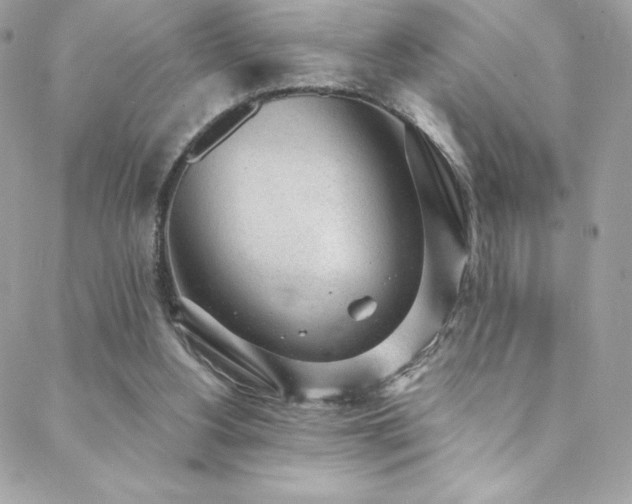 X0000088840156200706071429