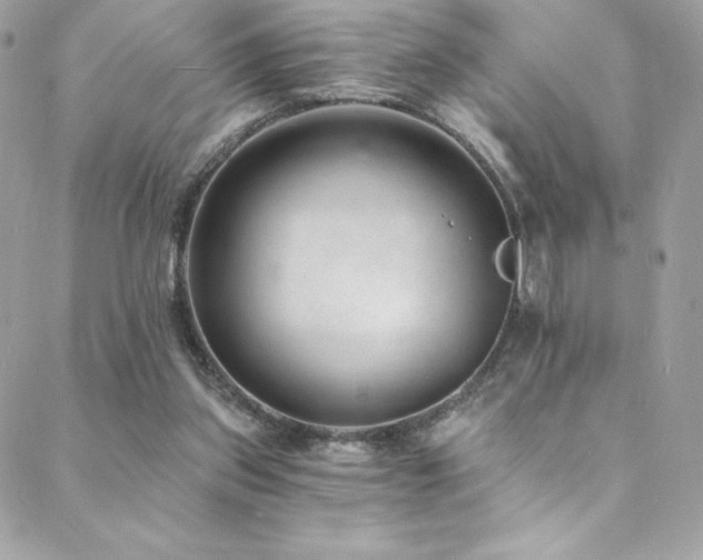 X0000088840157200706071429