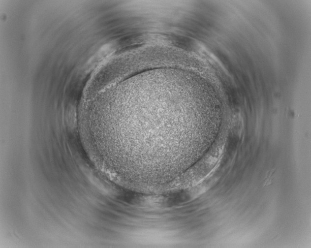 X0000088840158200706071429