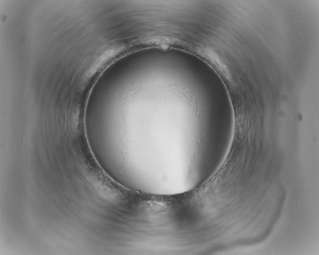 X0000088840159200706071429