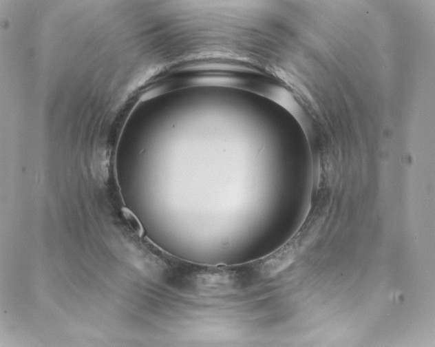 X0000088840160200706071429