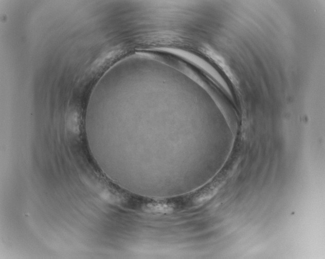 X0000088840161200706071429