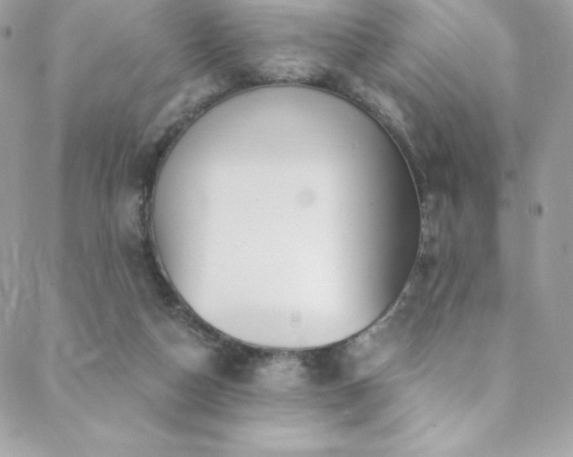 X0000088840162200706071429