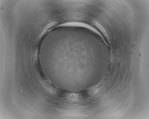 X0000088840163200706071429