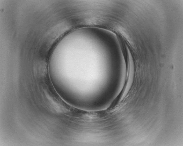 X0000088840164200706071429