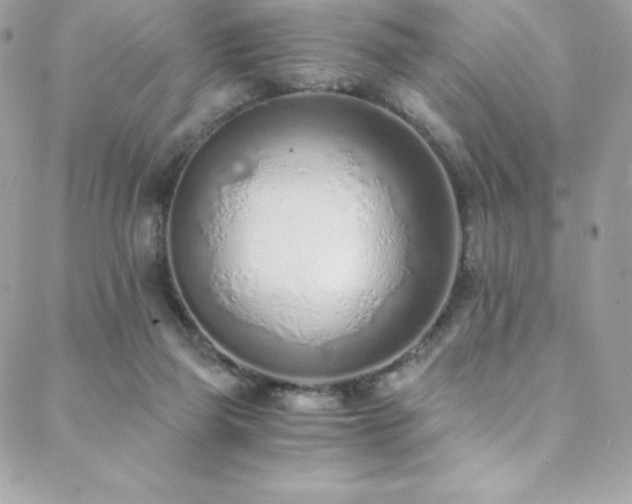 X0000088840165200706071429