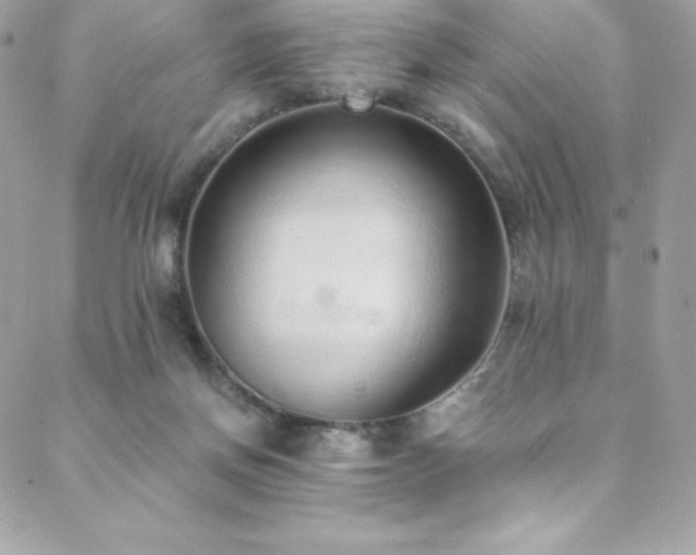 X0000088840166200706071429