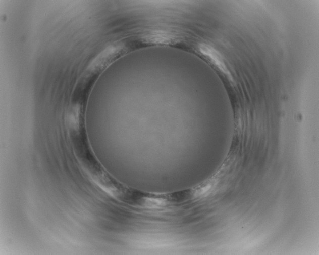 X0000088840167200706071429