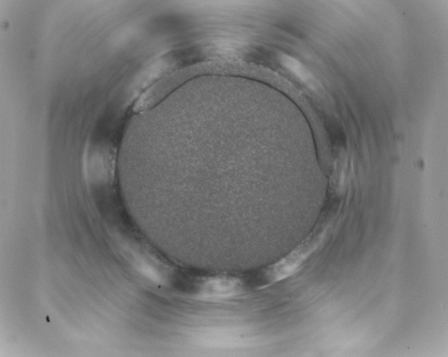 X0000088840168200706071429