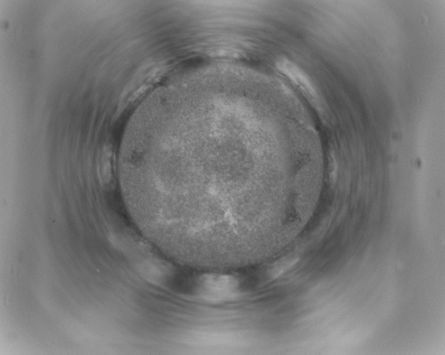 X0000088840169200706071429