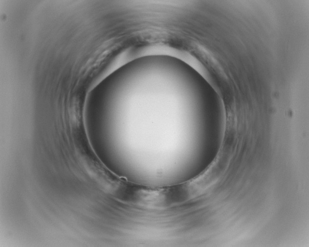 X0000088840170200706071429