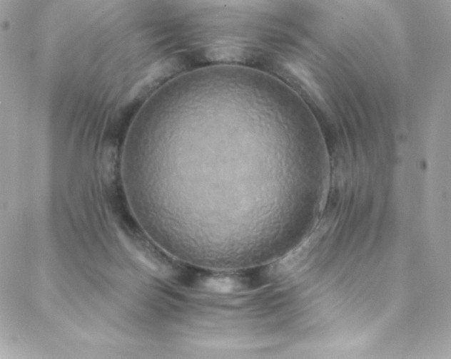 X0000088840171200706071429