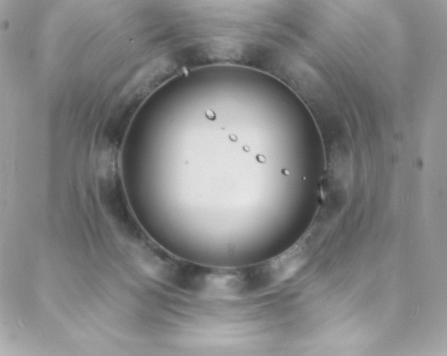 X0000088840172200706071429