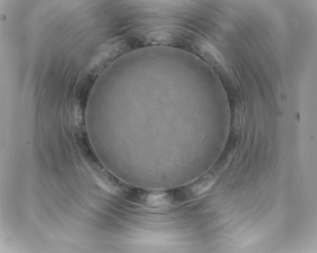 X0000088840173200706071429