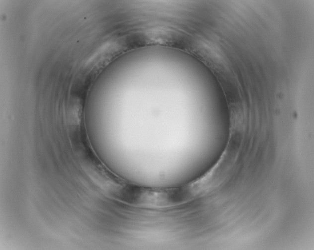 X0000088840174200706071429