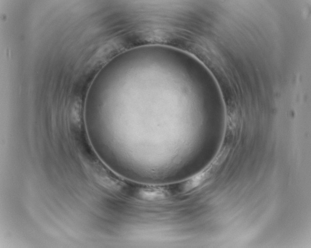 X0000088840175200706071429