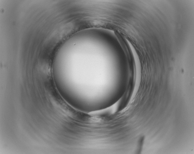 X0000088840176200706071429